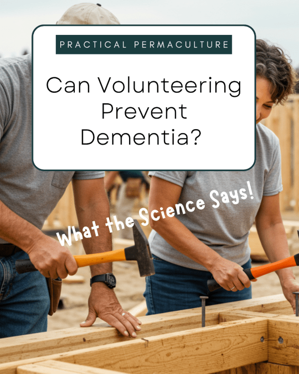 Can Volunteering Prevent Dementia? What the Science Says